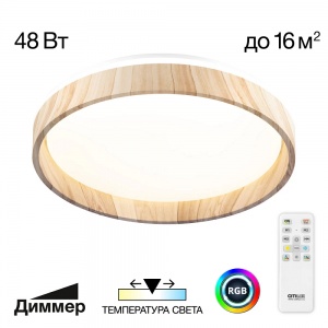 Потолочный светодиодный светильник Citilux Enzo 48W RGB CL753352G